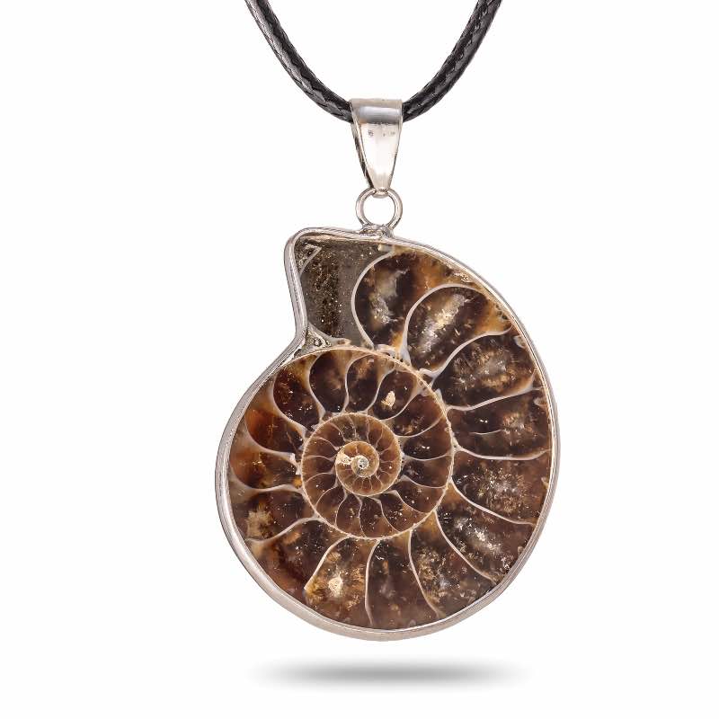 Ammonite Fossil Necklace