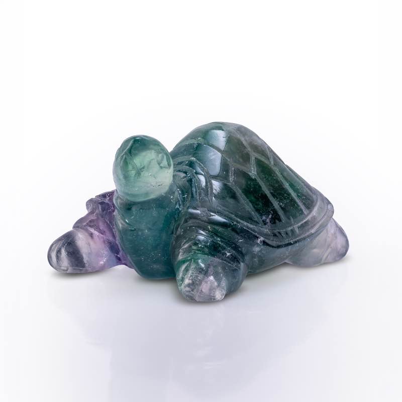 The Clarity Fluorite Figurine (Turtle)
