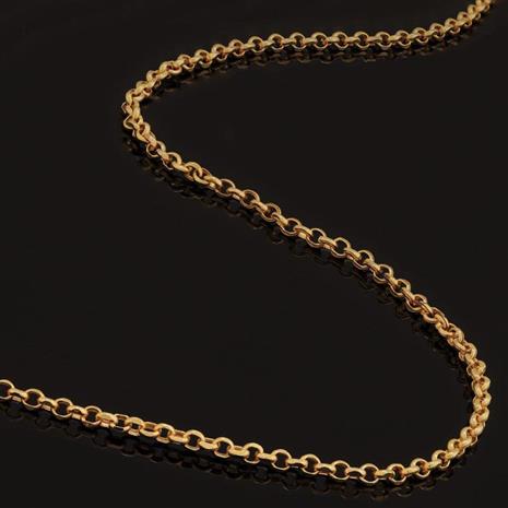 Gold-finished Rolo Chain 20"